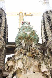 fotografia, materiale, libero il panorama, dipinga, fotografia di scorta,La Sagrada Familia, , , , 