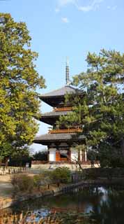 photo,material,free,landscape,picture,stock photo,Creative Commons,Hokiji Temple, , , , 