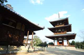 photo, la matire, libre, amnage, dcrivez, photo de la rserve,Hokiji Temple, , , , 