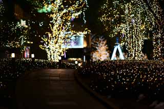 photo,material,free,landscape,picture,stock photo,Creative Commons,Shinjuku Illumination, , , , 