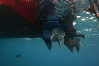 fotografia, materiale, libero il panorama, dipinga, fotografia di scorta,Una vite, nave, vite, Nel mare, fotografia subacquea