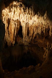 fotografia, material, livra, ajardine, imagine, proveja fotografia,Ishigaki-jima Ilha estalactite caverna, caverna de estalactite, Estalactite, Pedra calcria, caverna