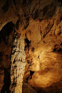 fotografia, material, livra, ajardine, imagine, proveja fotografia,Ishigaki-jima Ilha estalactite caverna, caverna de estalactite, Estalactite, Pedra calcria, caverna