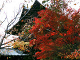 , , , , ,  ., Nanzenji Temple.,  , , , 