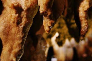 photo,material,free,landscape,picture,stock photo,Creative Commons,Ishigaki-jima Island stalactite cave, stalactite cave, Stalactite, Limestone, cave