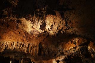 fotografia, material, livra, ajardine, imagine, proveja fotografia,Ishigaki-jima Ilha estalactite caverna, caverna de estalactite, Estalactite, Pedra calcria, caverna