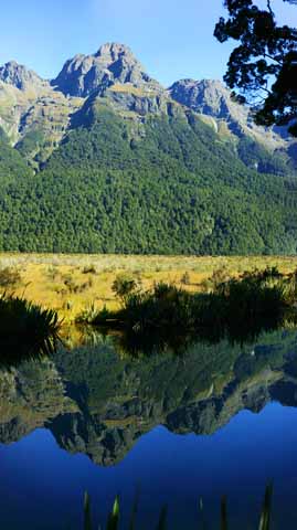 fotografia, materiale, libero il panorama, dipinga, fotografia di scorta,Mirror Lake, , , , 