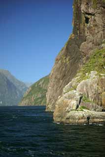 photo,material,free,landscape,picture,stock photo,Creative Commons,Milford Sound, , , , 