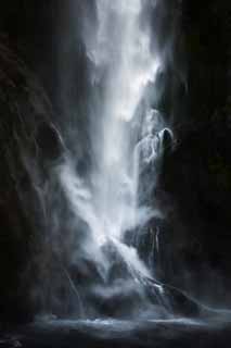 photo, la matire, libre, amnage, dcrivez, photo de la rserve,Milford Sound Staline cascades, , , , 