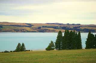 foto,tela,gratis,paisaje,fotografa,idea,El lago Pukaki, , , , 