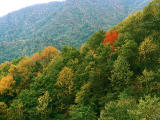 fotografia, materiale, libero il panorama, dipinga, fotografia di scorta,L'autunno va via nella montagna, , , , 