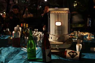 Foto, materiell, befreit, Landschaft, Bild, hat Foto auf Lager,Nach einer Party, Flower, die ansieht, Das Gehen, bei Nachtbesichtigung Kirschenblten zu sehen, Alkohol, Teppich