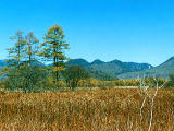 Foto, materiell, befreit, Landschaft, Bild, hat Foto auf Lager,Herbst bei Senjogahara, , , , 