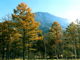 Foto, materieel, vrij, landschap, schilderstuk, bevoorraden foto,Mt. Nantaisan en herfst bomen, , , , 