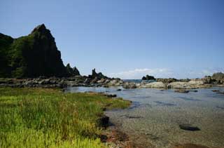 photo,material,free,landscape,picture,stock photo,Creative Commons,The sea of a pilgrimage, cliff, The shore, rock, wave