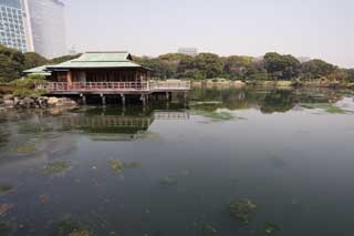 photo,material,free,landscape,picture,stock photo,Creative Commons,A resting booth of Nakashima, pond, building, I am Japanese-style, roof