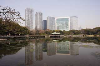 foto,tela,gratis,paisaje,fotografa,idea,Un grupo de la construccin de Shiodome y una laguna del dao por el agua de mar, Laguna, Edificio, Soy japons -style, 