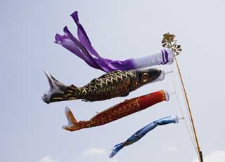 photo,material,free,landscape,picture,stock photo,Creative Commons,Swimming of a carp streamer, dark flag, Koinobori, carp streamer, carp streamer