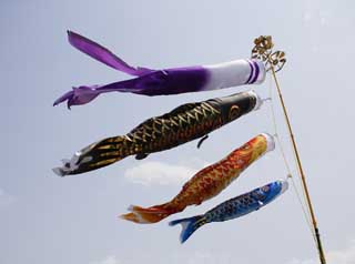 photo,material,free,landscape,picture,stock photo,Creative Commons,Swimming of a carp streamer, dark flag, Koinobori, carp streamer, carp streamer