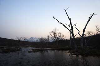 Foto, materiell, befreit, Landschaft, Bild, hat Foto auf Lager,Eine klamme Ebene eines frhen Morgens, Sumpf, Die Oberflche des Wassers, Berg, Baum