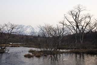 fotografia, materiale, libero il panorama, dipinga, fotografia di scorta,Un piano di umidit di una prima mattina, palude, La superficie dell'acqua, montagna, albero