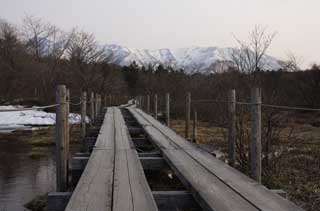 fotografia, materiale, libero il panorama, dipinga, fotografia di scorta,Un modo di albero alle montagne nevose, altopiano, inumidisca chiaramente, palude, modo di albero