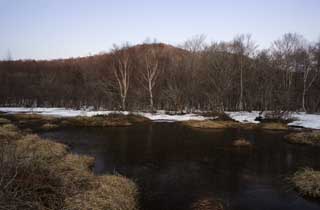 fotografia, materiale, libero il panorama, dipinga, fotografia di scorta,Un piano di umidit di una prima mattina, palude, La superficie dell'acqua, montagna, albero