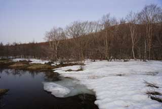 photo,material,free,landscape,picture,stock photo,Creative Commons,A damp plain of a thaw, marsh, The surface of the water, mountain, tree