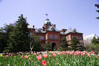 photo,material,free,landscape,picture,stock photo,Creative Commons,Hokkaido agency, The Hokkaido Government Office, European-style building, building, brick