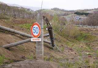 Foto, materiell, befreit, Landschaft, Bild, hat Foto auf Lager,Verwirrung von ein 50km/h Mark, Ausbruch, Katastrophe, rufen Sie Stange an, Verkehrszeichen