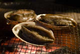 fotografia, materiale, libero il panorama, dipinga, fotografia di scorta,L'ora di morte di un abalone, abalone, , , 