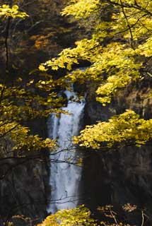 photo,material,free,landscape,picture,stock photo,Creative Commons,Colored leaves of the sunlight Kegon Falls, waterfall, Maple, blue sky, Bave rock