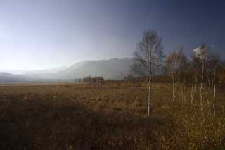 fotografia, materiale, libero il panorama, dipinga, fotografia di scorta,Senjogahara in fine di autunno, erboso chiaramente, , Frusta bianca, cielo blu