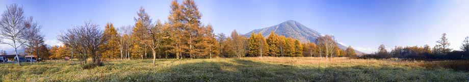Foto, materieel, vrij, landschap, schilderstuk, bevoorraden foto,Senjogahara in late daling, Mt. Mannetje, Kleurig verloven, Panoramcomposition, Panorama