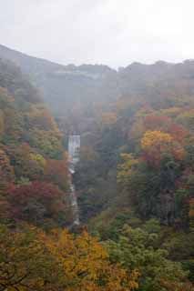 photo,material,free,landscape,picture,stock photo,Creative Commons,Colored leaves waterfall, waterfall, river, Fog, Haze