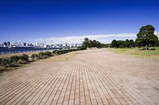 photo,material,free,landscape,picture,stock photo,Creative Commons,A brick way of the sea breeze Park, coastal line, Rainbow Bridge, lawn, blue sky