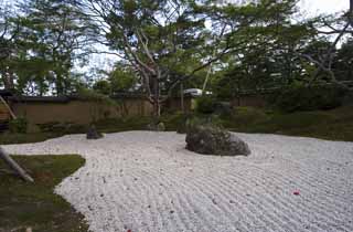 foto,tela,gratis,paisaje,fotografa,idea,La Cmara de conocimientos enciclopdicos de Matsushima, Jardn rocoso, Roca, Arce, Piedra