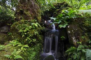 Foto, materieel, vrij, landschap, schilderstuk, bevoorraden foto,Het Huis van encyclopedische kennis van Matsushima, Waterval, Water, Loop, Rots