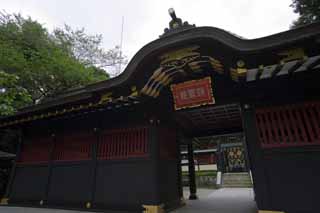 photo,material,free,landscape,picture,stock photo,Creative Commons,Zuiho-den Hall, The gate, Decoration, tile, Vermilion