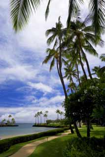 photo, la matire, libre, amnage, dcrivez, photo de la rserve,Un recours hawaen, plage, plage sablonneuse, ciel bleu, Lasi