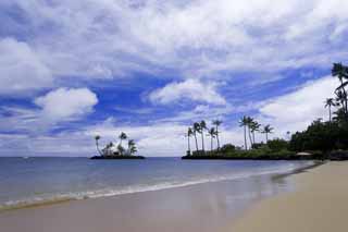 photo,material,free,landscape,picture,stock photo,Creative Commons,A Hawaiian beach, beach, sandy beach, blue sky, Lasi
