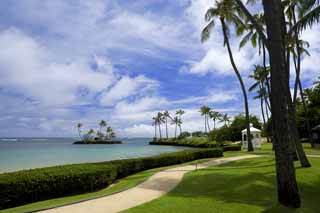fotografia, material, livra, ajardine, imagine, proveja fotografia,Um recurso havaiano, praia, praia arenosa, cu azul, Lasi