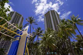 photo,material,free,landscape,picture,stock photo,Creative Commons,Waikiki hotel, beach, surfboard, blue sky, building