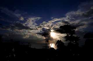 fotografia, materiale, libero il panorama, dipinga, fotografia di scorta,Una silhouette di paese meridionale, albero di palme, Il sole di setting, nube, Il mare