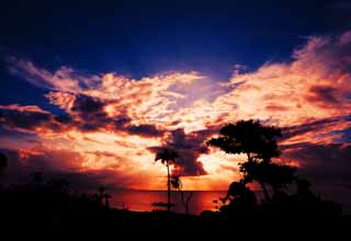 Foto, materieel, vrij, landschap, schilderstuk, bevoorraden foto,Het zuide land silhouette wat brandt, Palm boom, De instelling zon, Wolk, De zee