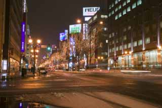 Foto, materiell, befreit, Landschaft, Bild, hat Foto auf Lager,Sapporo Nachtsicht, schneebedeckte Strae, Baum an der Strae, Strae bei Nacht, Beschatten Sie Lampe