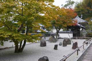 fotografia, material, livra, ajardine, imagine, proveja fotografia,Um jardim de rochas de um templo claro que pertence  seita de Zen, paisagem seca jardim japons, jardim de rochas, desgnio de areia, 