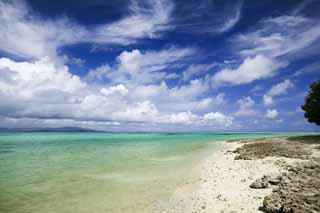 fotografia, material, livra, ajardine, imagine, proveja fotografia,Uma praia de areia de uma estrela, nuvem, praia, cu azul, Verde de esmeralda