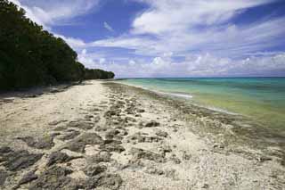 fotografia, materiale, libero il panorama, dipinga, fotografia di scorta,Una spiaggia di sabbia di una stella, nube, spiaggia, cielo blu, Verde di smeraldo