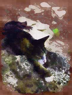 illust, matire, libre, paysage, image, le tableau, crayon de la couleur, colorie, en tirant,J'amne un somme dans une plage, chat, , , plage sablonneuse